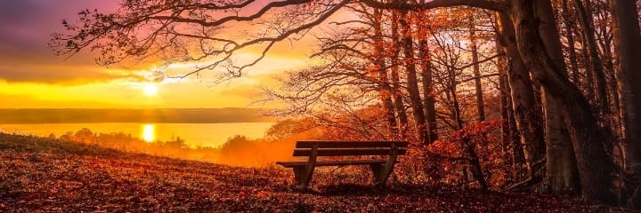 Bank auf einer Waldlichtung im November
