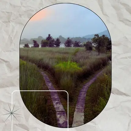 Symbolbild für die 7 Lebensphasen des Menschen: Ein Weg durch Felder bei Sonnenuntergang steht für Entwicklung, Orientierung und Gemeinschaft.