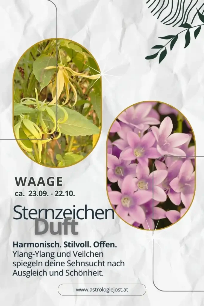 Sternzeichen Waage: Ylang-Ylang und Veilchen als Düfte für Harmonie, Schönheit und innere Balance
