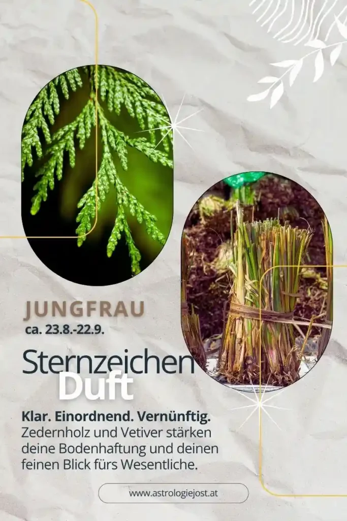 Pinterest-Grafik zum Sternzeichen Jungfrau mit botanischen Bildern von Zedernzweig und Vetivergras; Text: „Klar. Einordnend. Vernünftig.“ Empfehlung: Zedernholz & Vetiver stärken Bodenhaftung und den Blick fürs Wesentliche