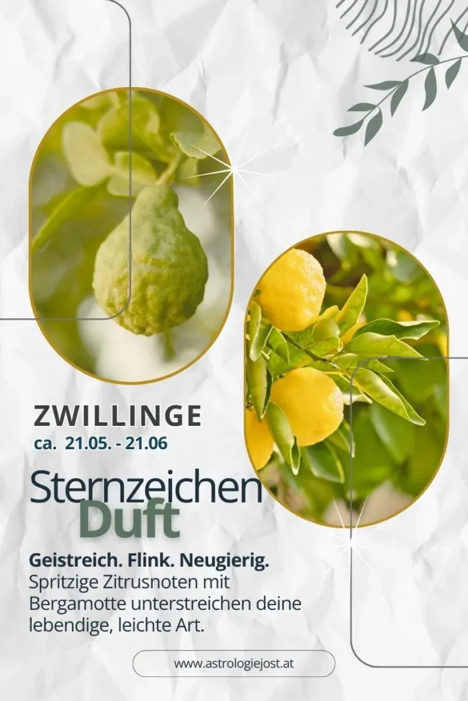 Grafik zum Sternzeichen Zwillinge mit gelben Zitrusfrüchten und Bergamotte. Moderner, heller Look, der die leichte, neugierige Energie des Luftzeichens zeigt.